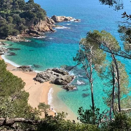 Apartamento La Bleue, Boutique With Free Parking, Full Equipped In Fenals *