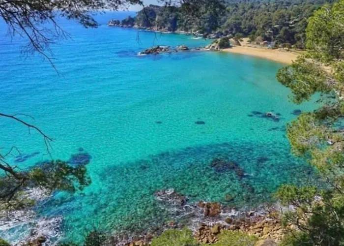 La Bleue, Boutique With Free Parking, Full Equipped In Fenals *